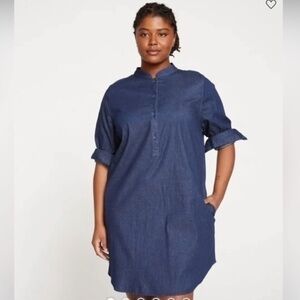 Universal Standard Denim Tunic/ Dress